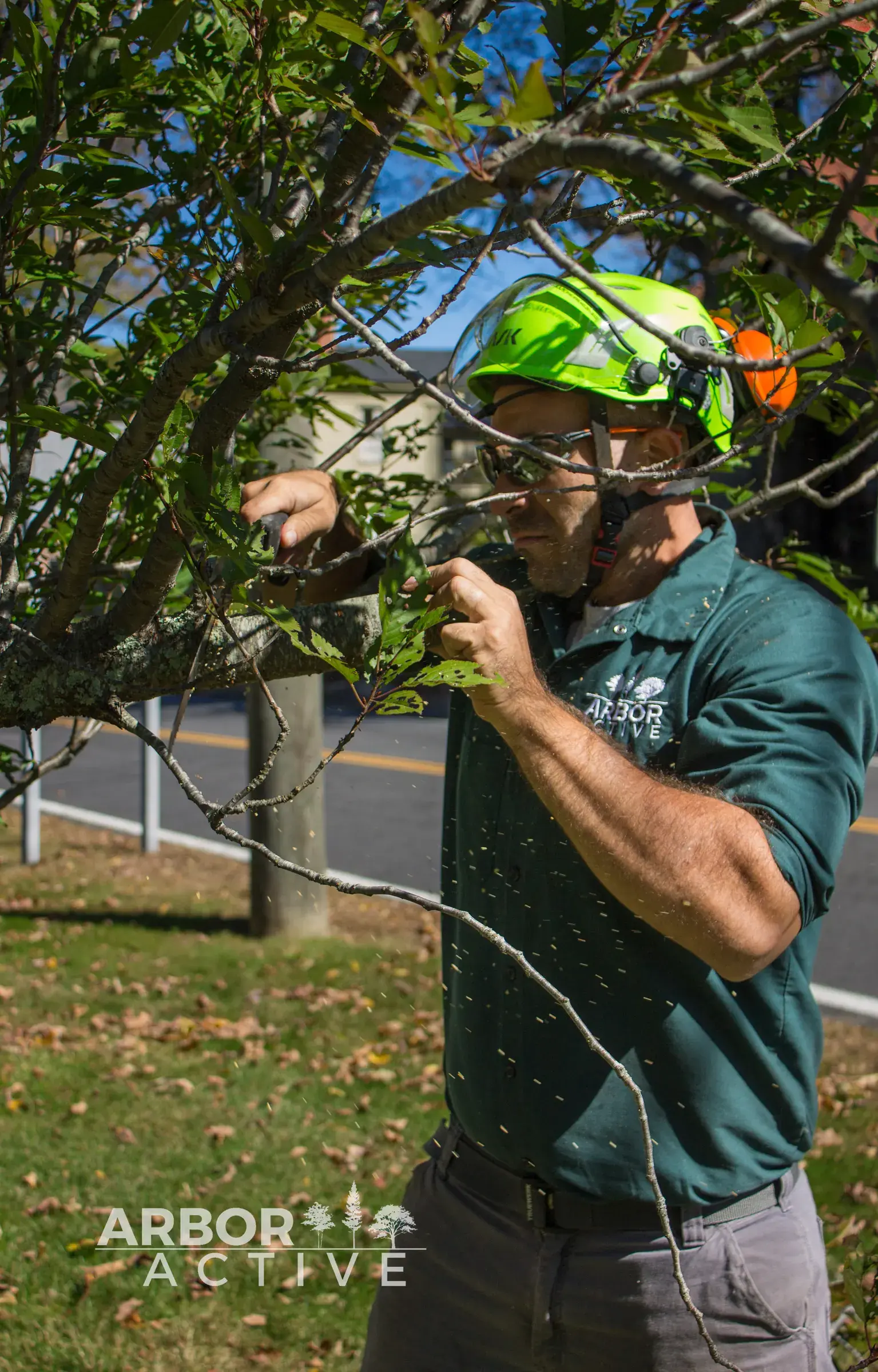 Tree Pruning