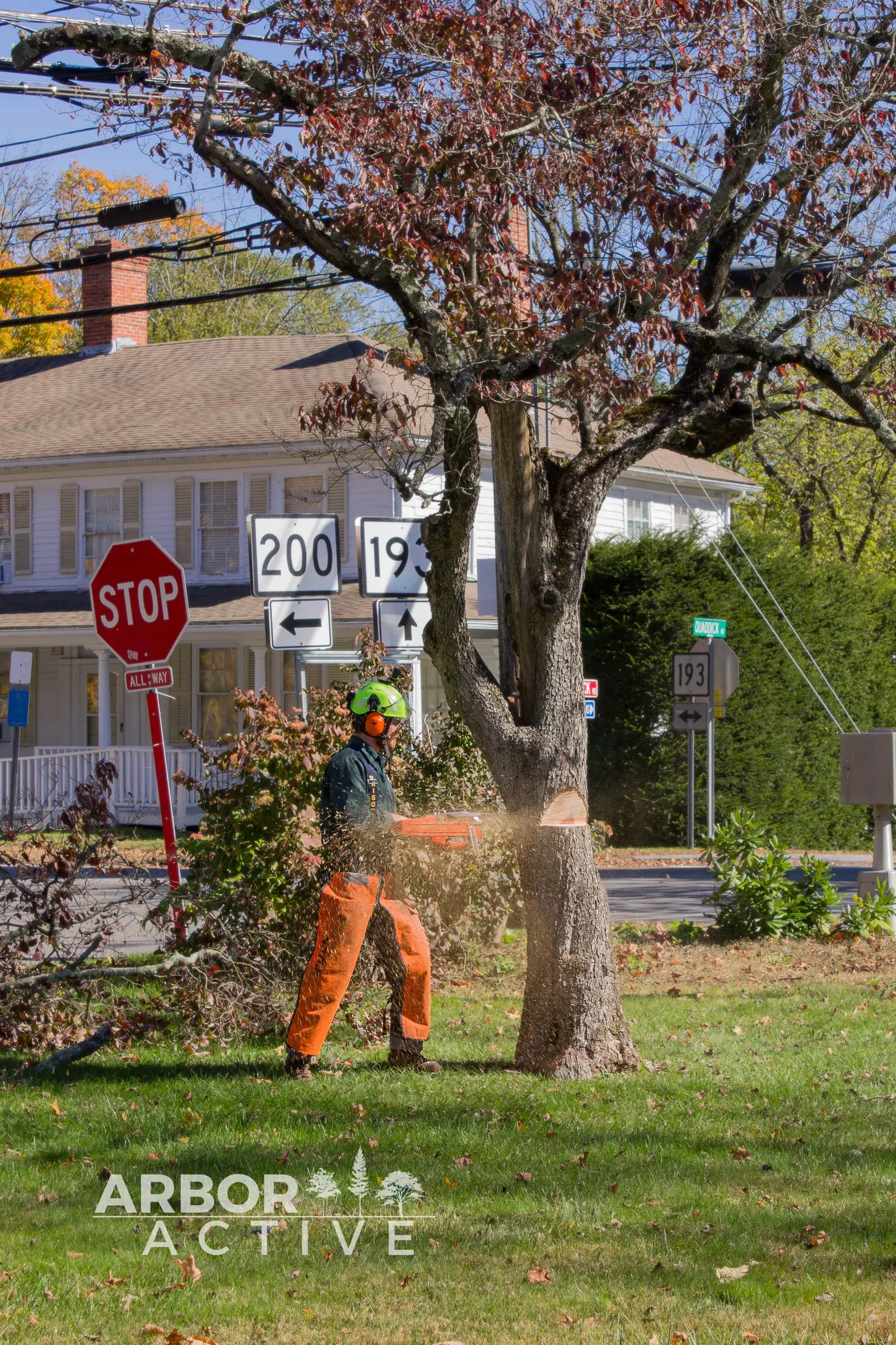 Storm Damage Response